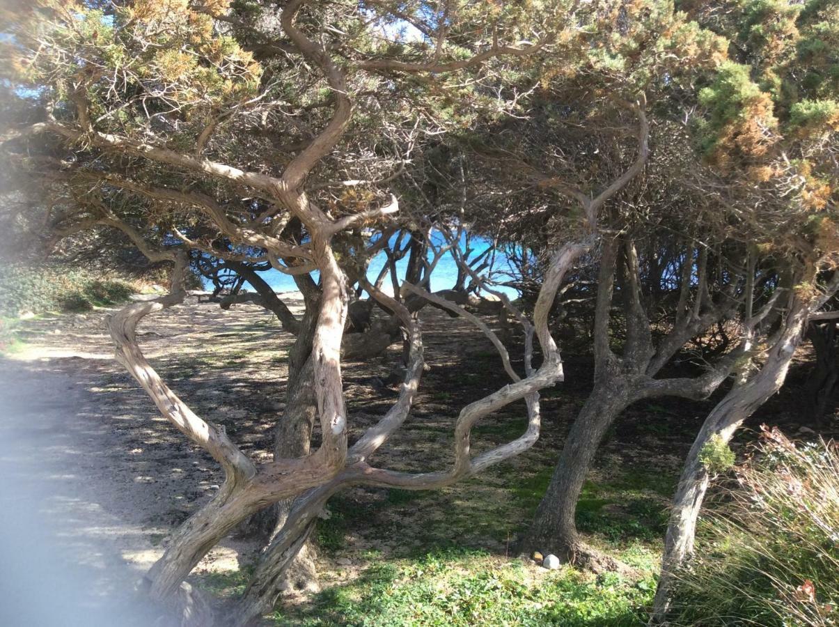 Casa Cristina Olbia Costa Smeralda Murta Maria Eksteriør billede